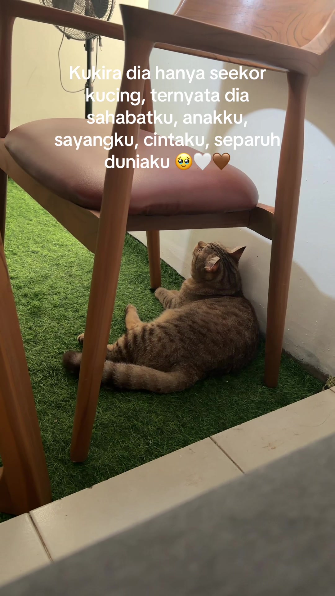 @vidyaully