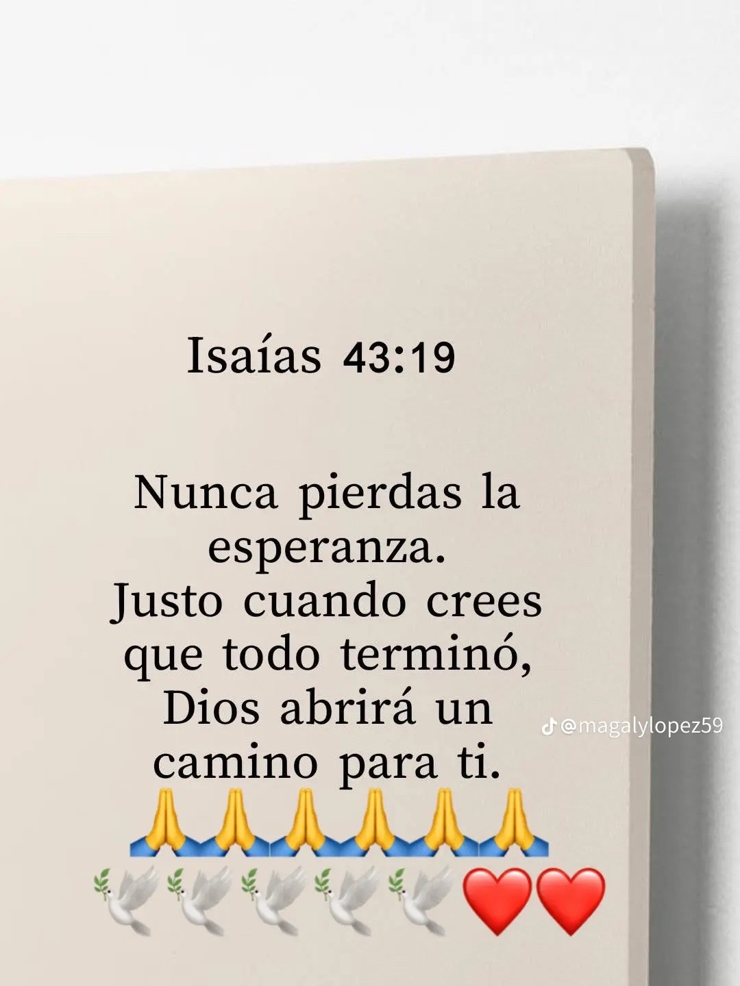 @Dilenia De la Rosa