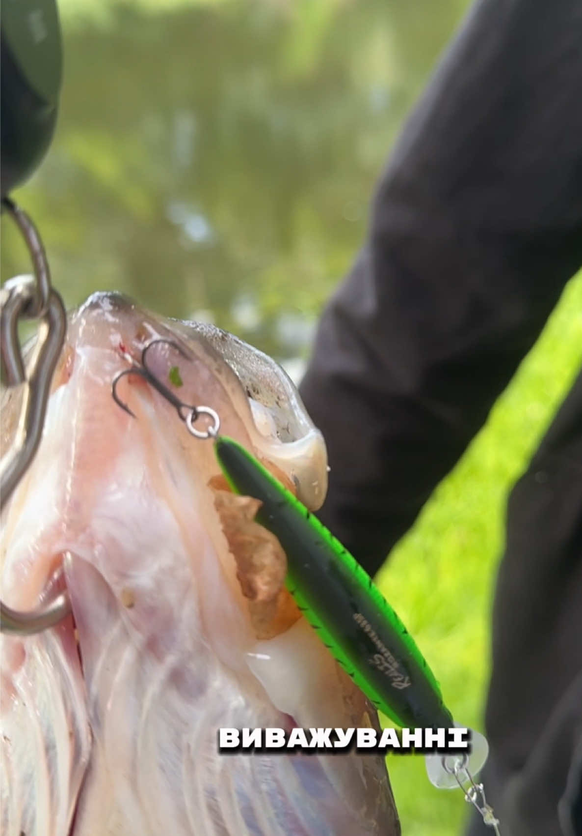 @𝗧𝗚.𝗗𝗬𝗫𝗙𝗜𝗦𝗛🎣