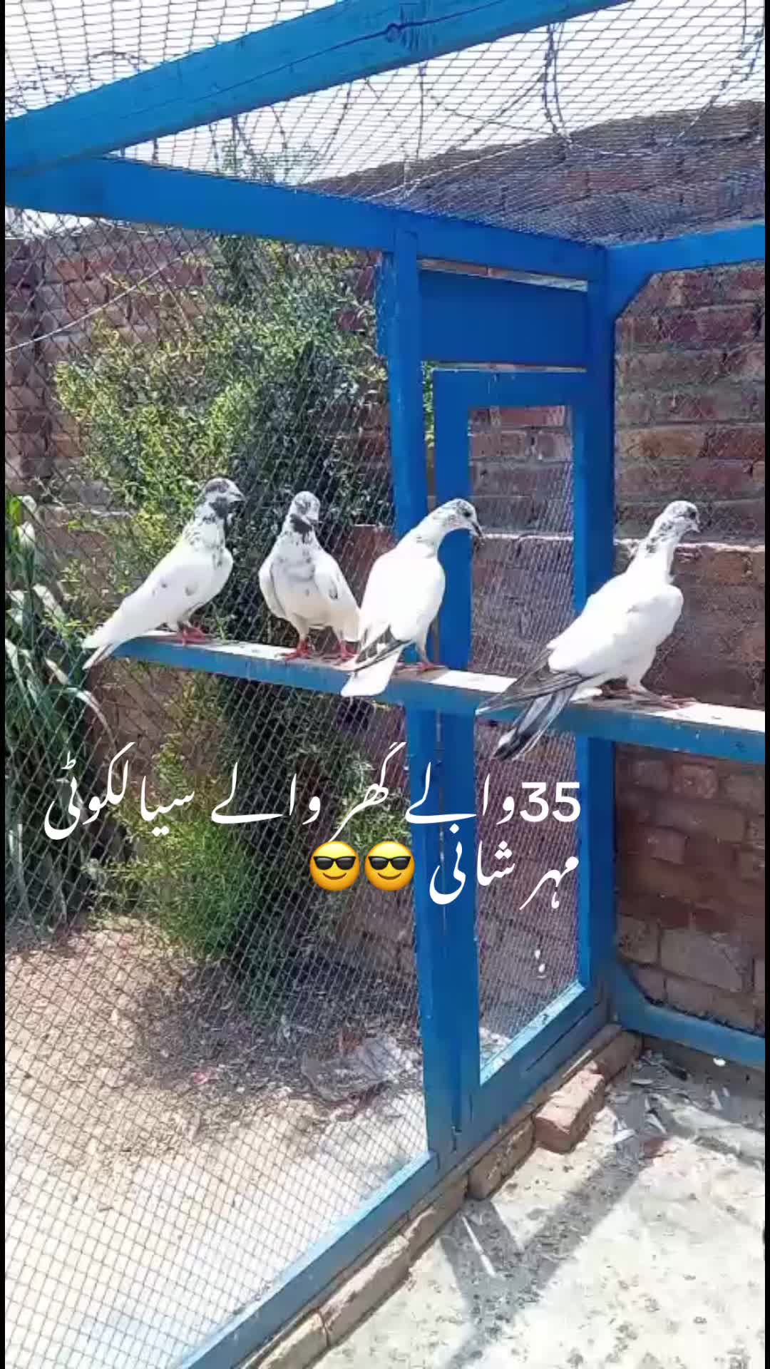 @Zeeshan Anjum