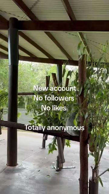 @Digital/Kim
