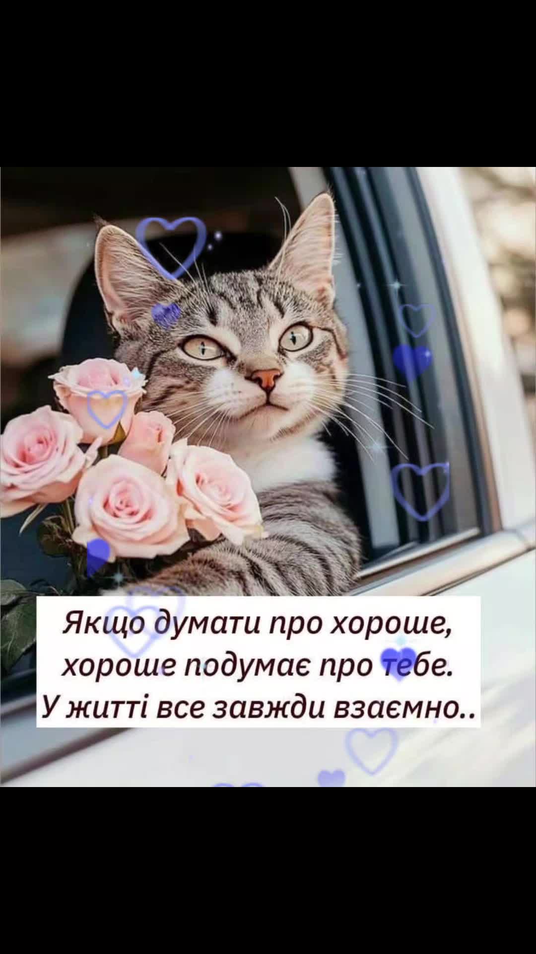 @Анюта Цыганок915