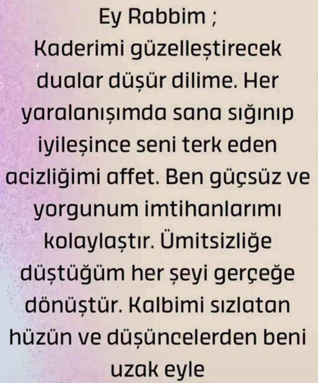 @Raziye Erim