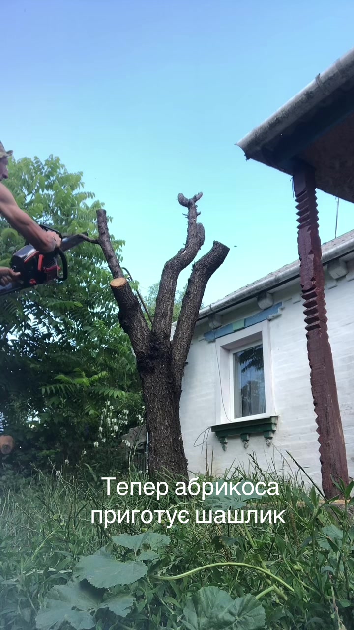 @Л І С О В И К