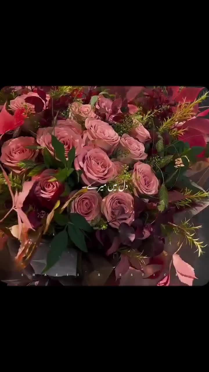 @Your-shazii-🐼🥂