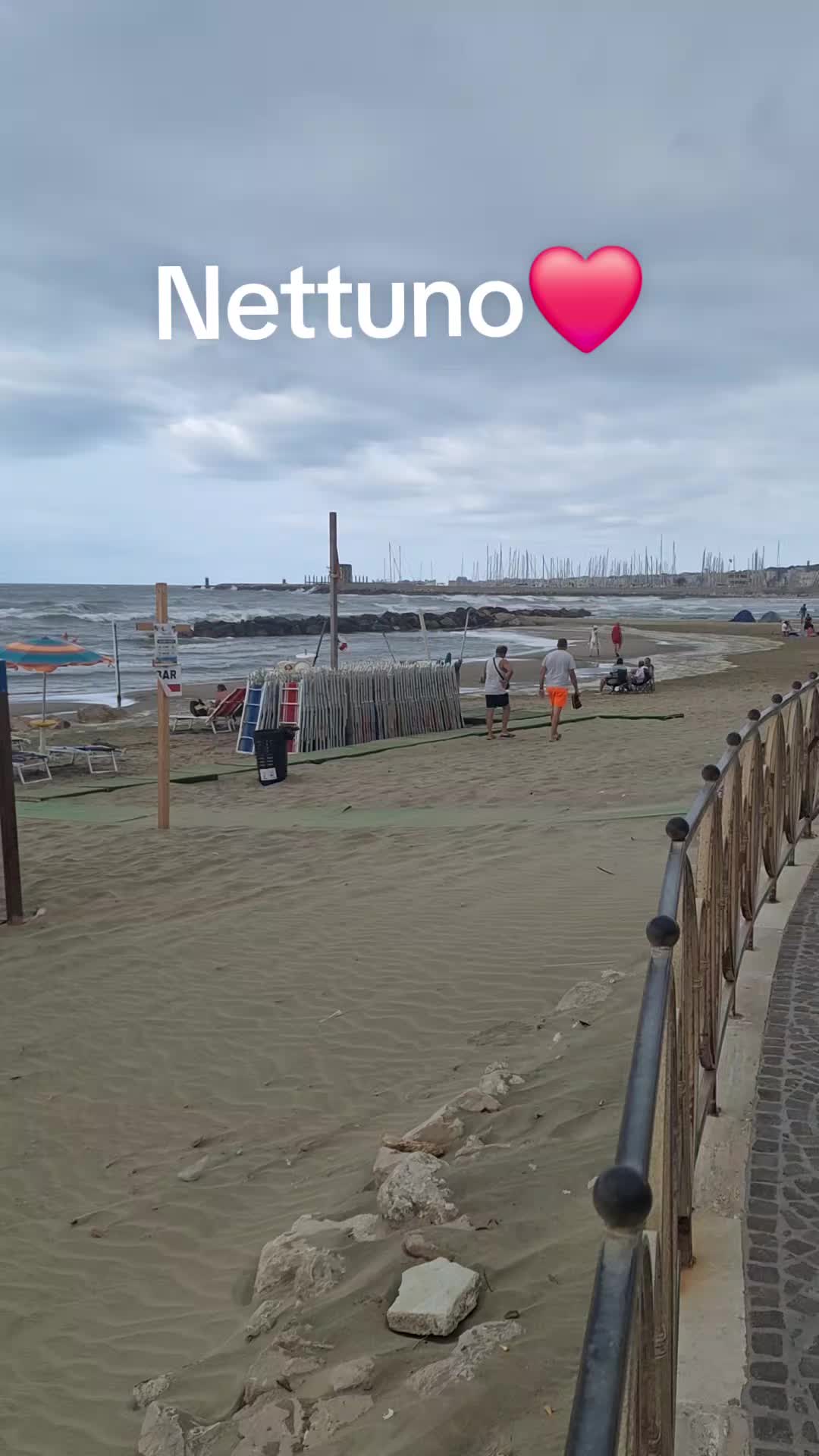@rosariamoio329