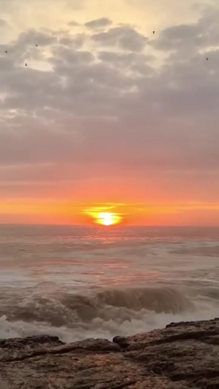 @rodolforamosvz