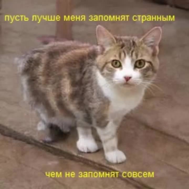 @Пепел