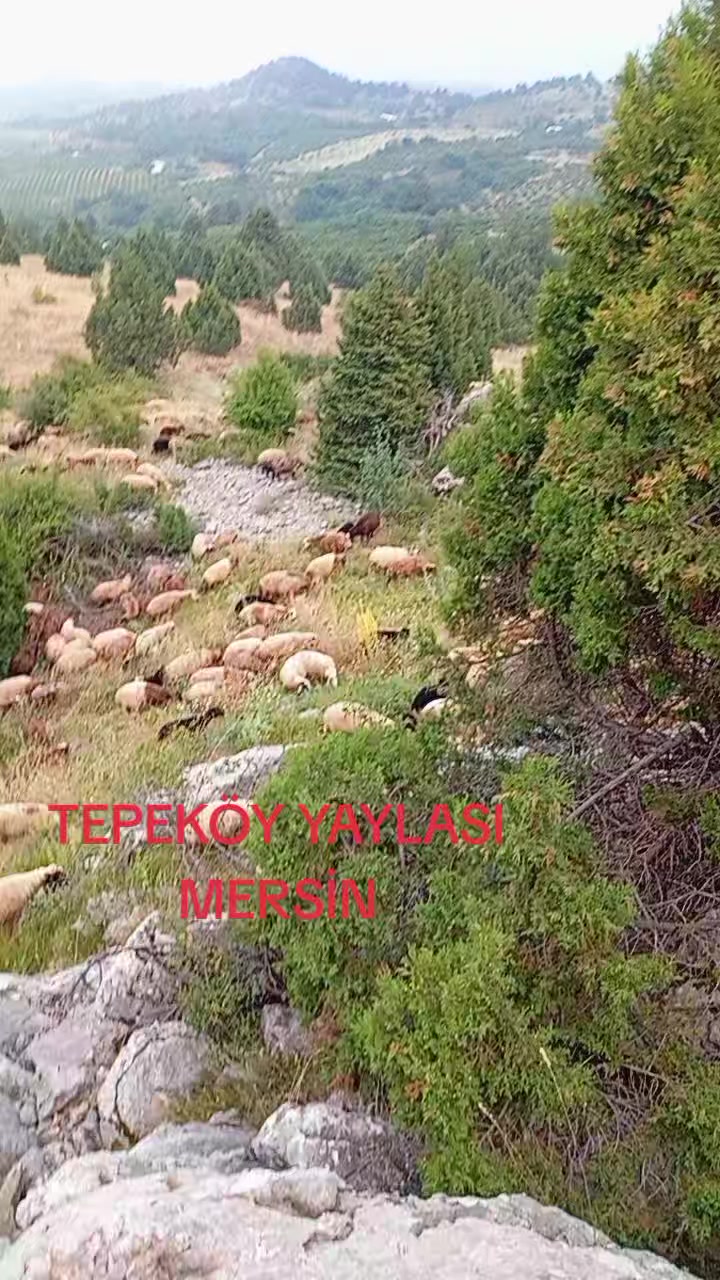 @😍🥰zalımın gızı TEPEK&Ouml;YL&Uuml;😍🥰