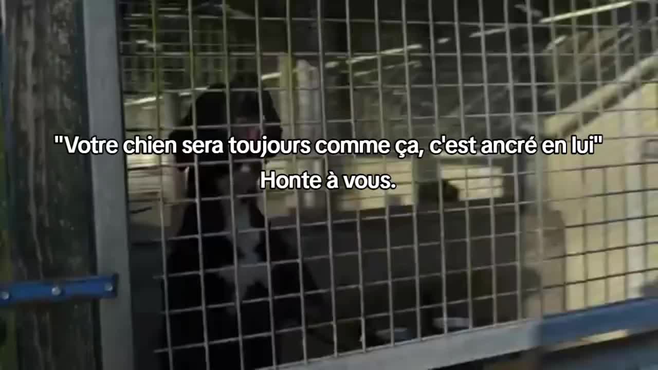 @Asta 🐻 Le petit frère 🤎