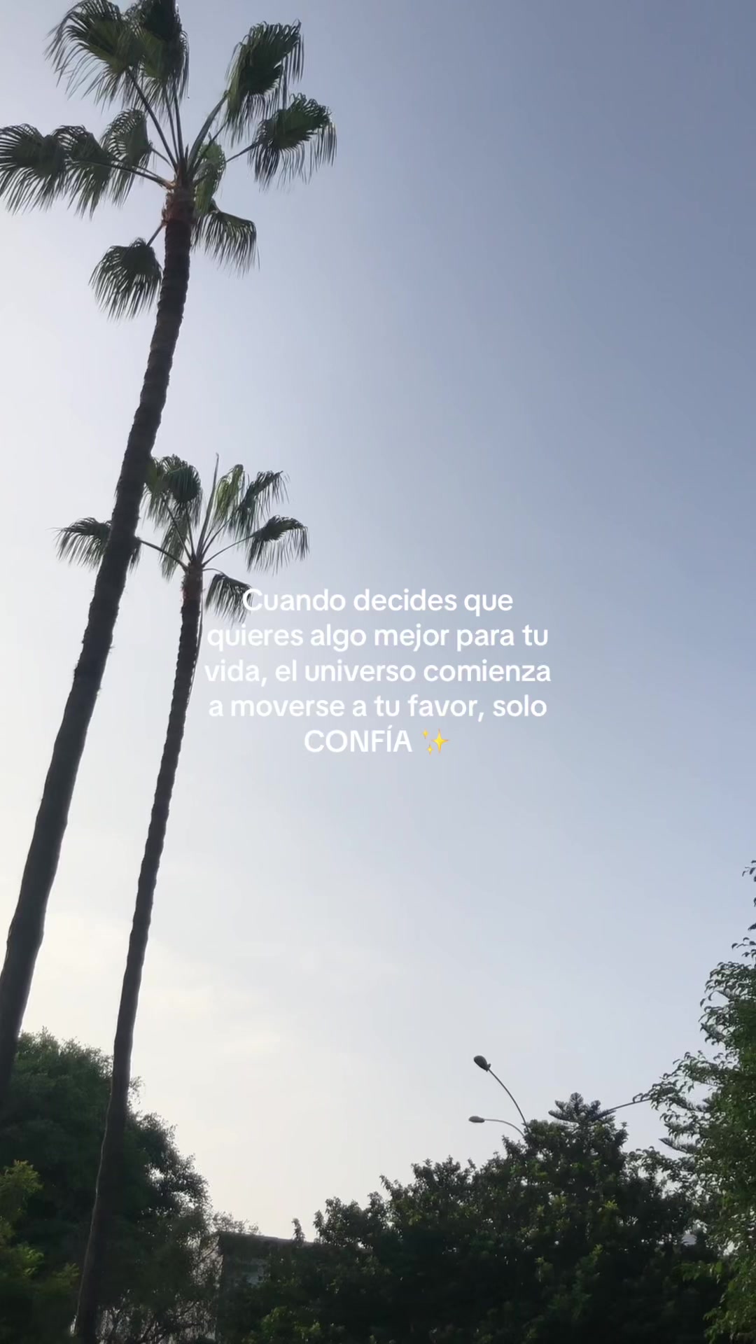 @𝙎𝙖𝙣𝙙𝙧𝙖 ◡̈