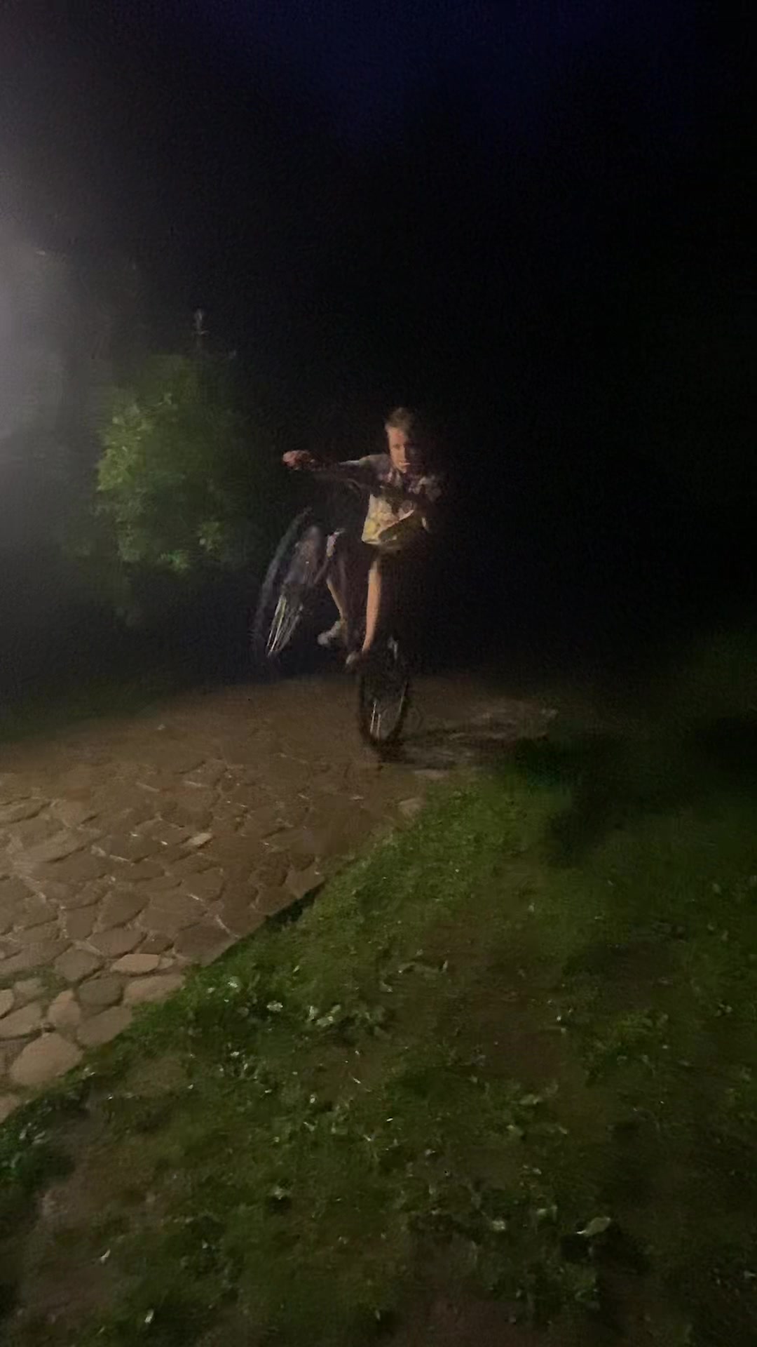 @PROVITALIK