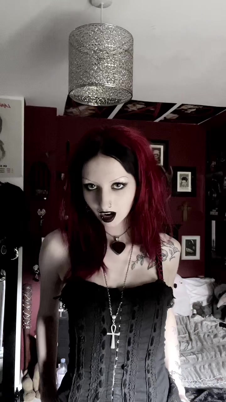 @🕸️ Molly 🕸️