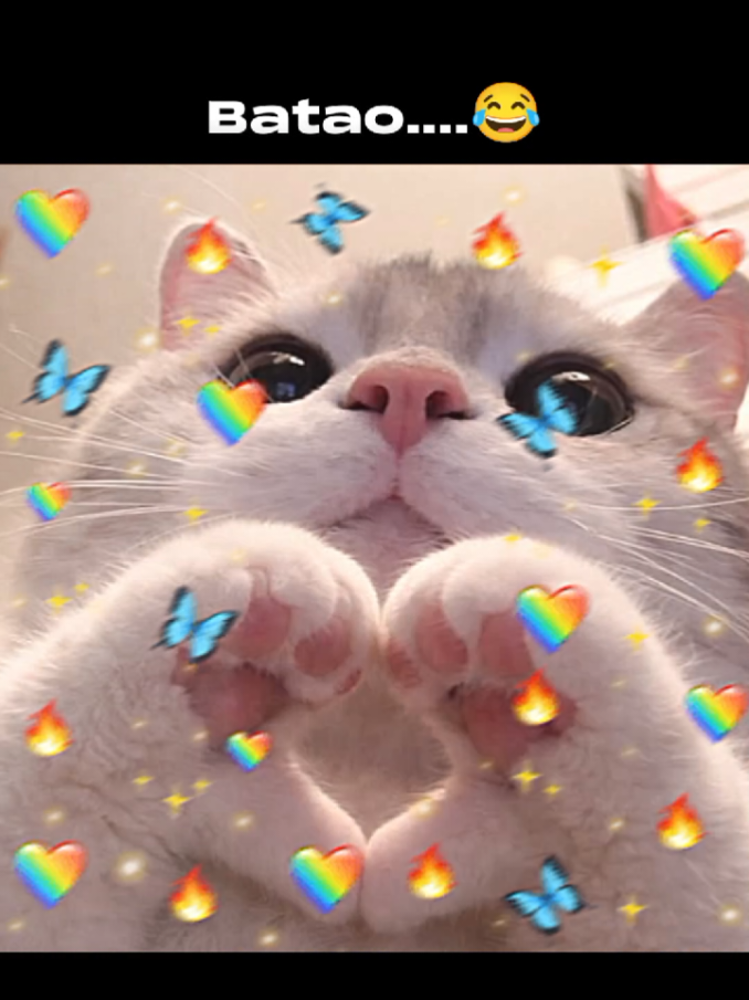 @𝐃𝐮𝐃𝐮.......💗🧸