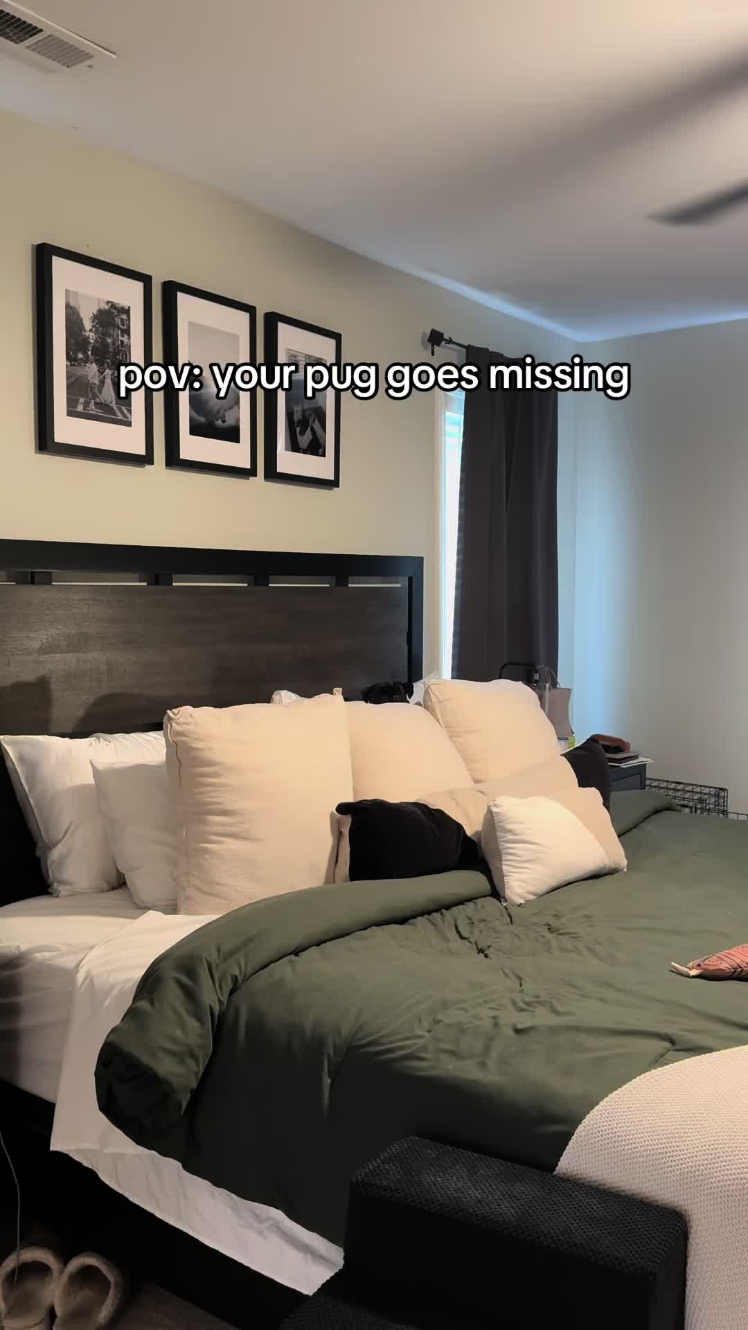 @SirEdmundThePug