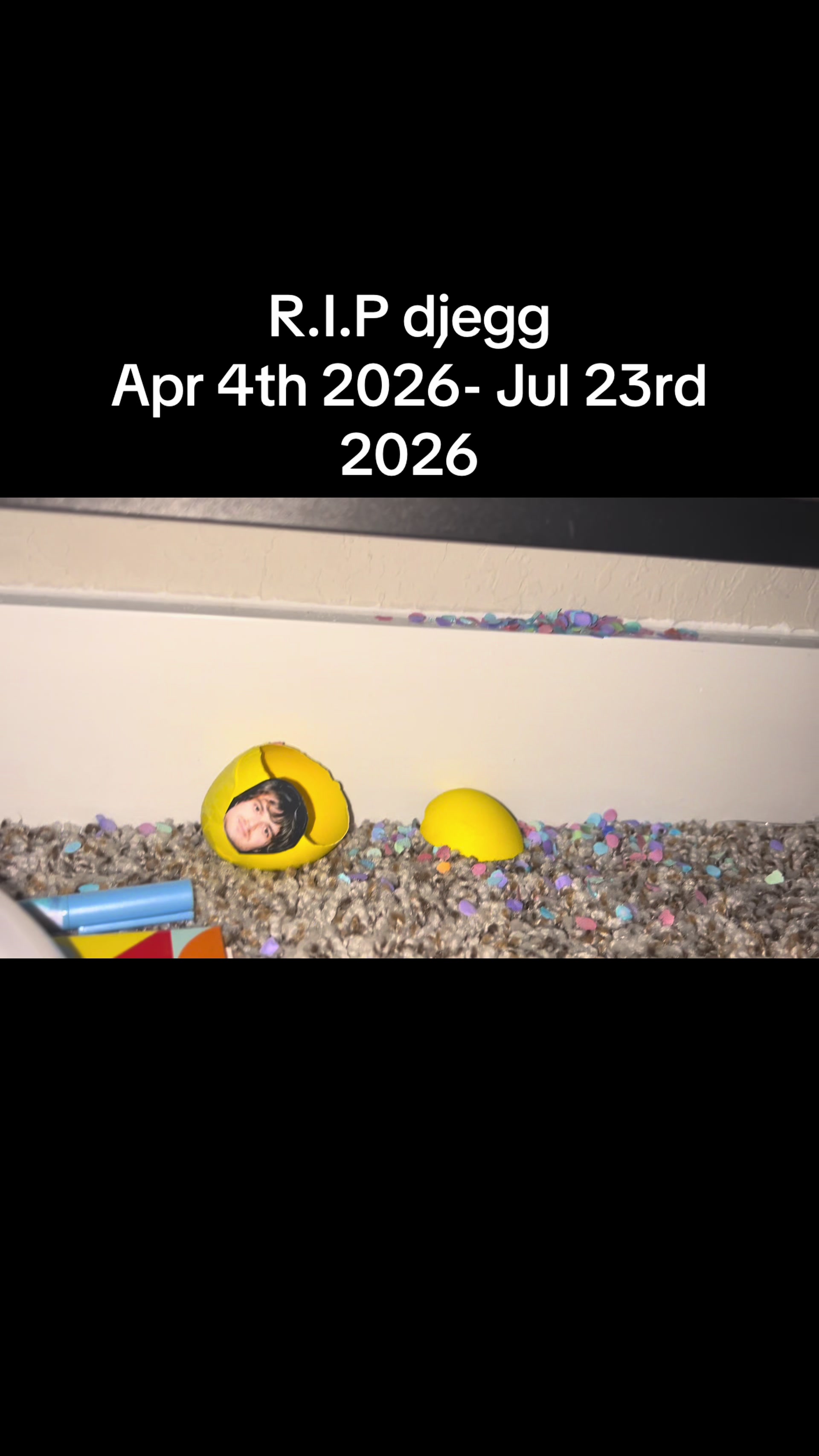@★ 𝓙𝓸𝓮'𝓼 𝓯𝓸𝓸𝓵 ★