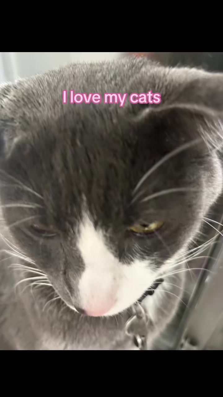 @i.love.meganfromekatseye