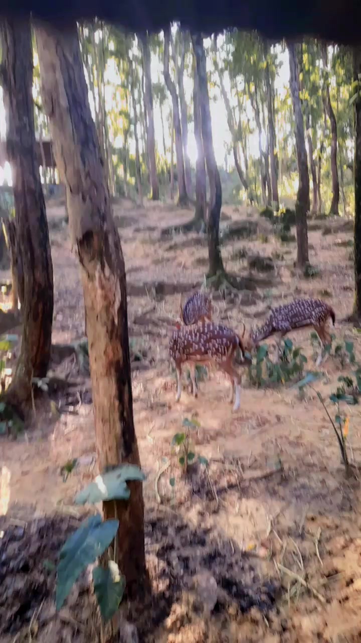 @💞সপ্নময়ী রাজকুমারী💞