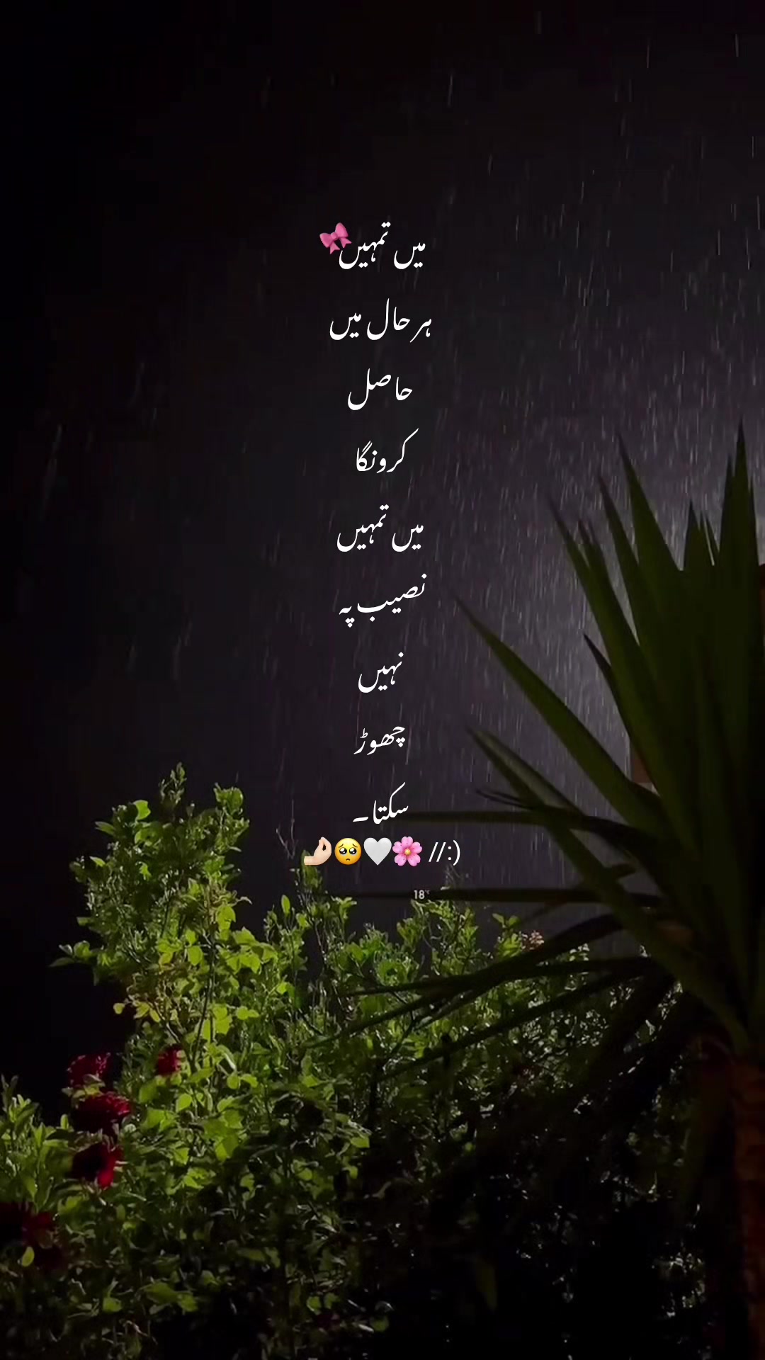 @𝐑 𝐄 𝐇 𝐀 𝐍 𖤍🥶⃤