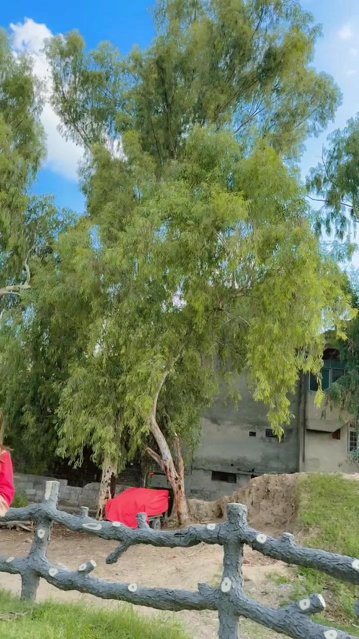 @Saira ali