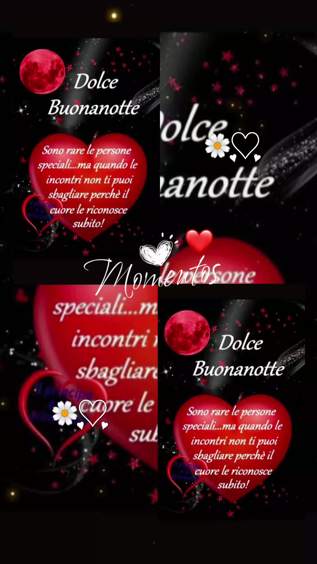 @Rita Le Rose