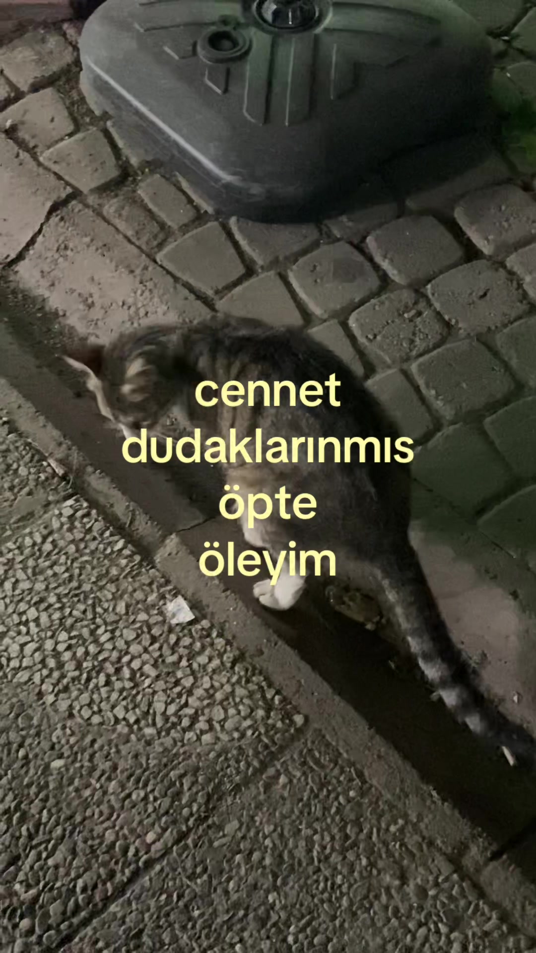 @mine