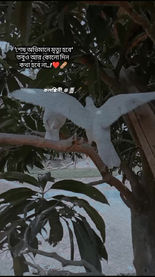 @&rarr;কলঙ্কিনী&mdash;&reg;📓🖋️