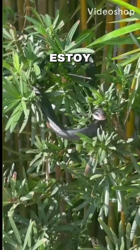 @Anni@
