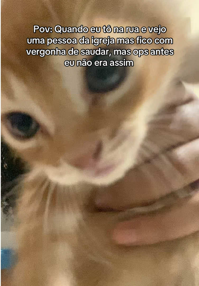 @Maah_Silva 🪼
