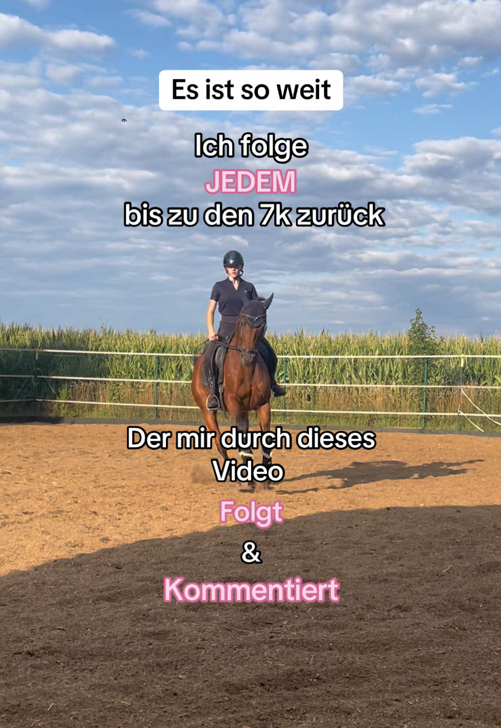 @herzenspferd_pearly