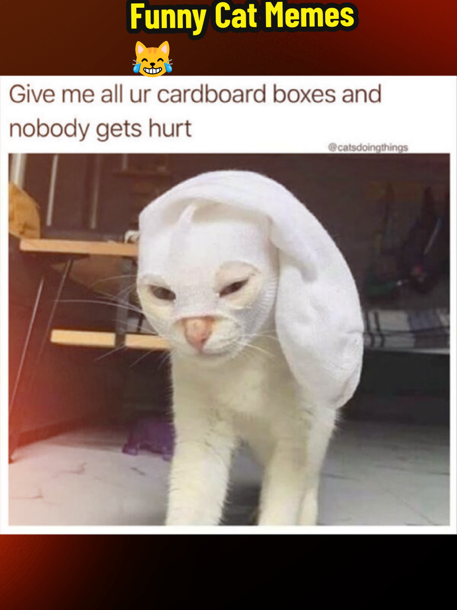 @MOTHEROFCATZ777