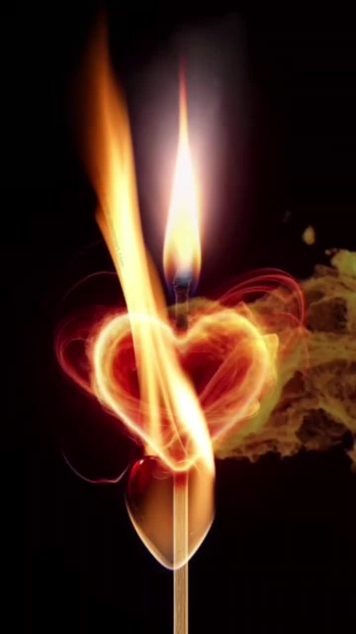 @mehmetkaap1