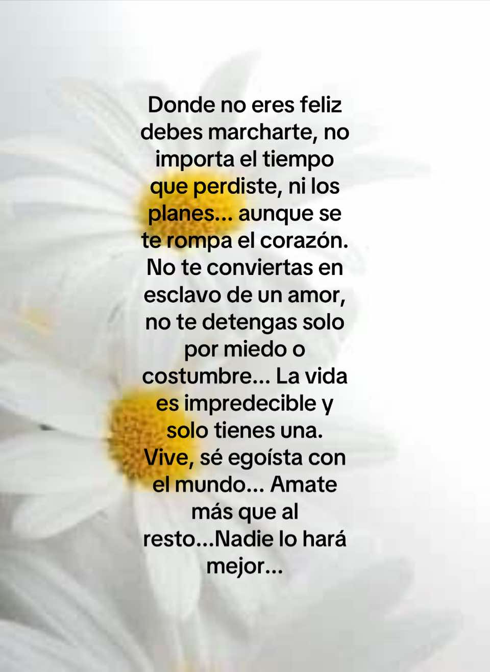 @Gloria Mar&iacute;a