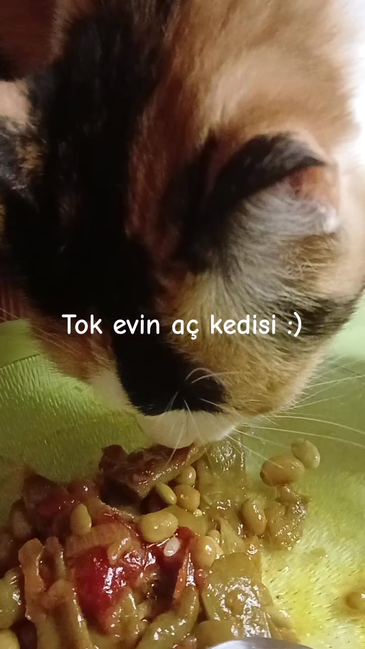 @GEZGİN KADIN 🖤💚🖤