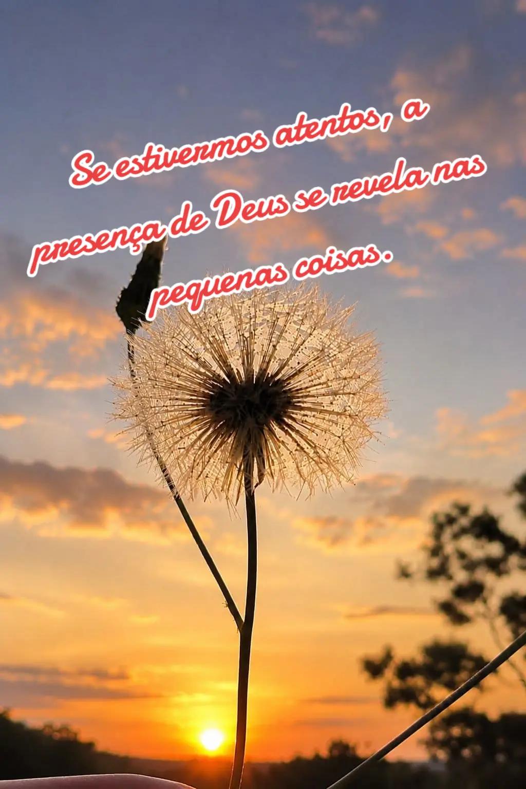 @sirlene leidiana oli
