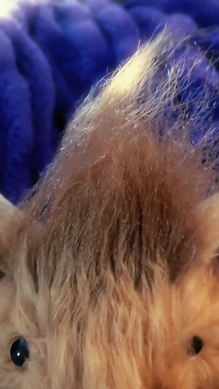 @Venus ❌️ 🐿