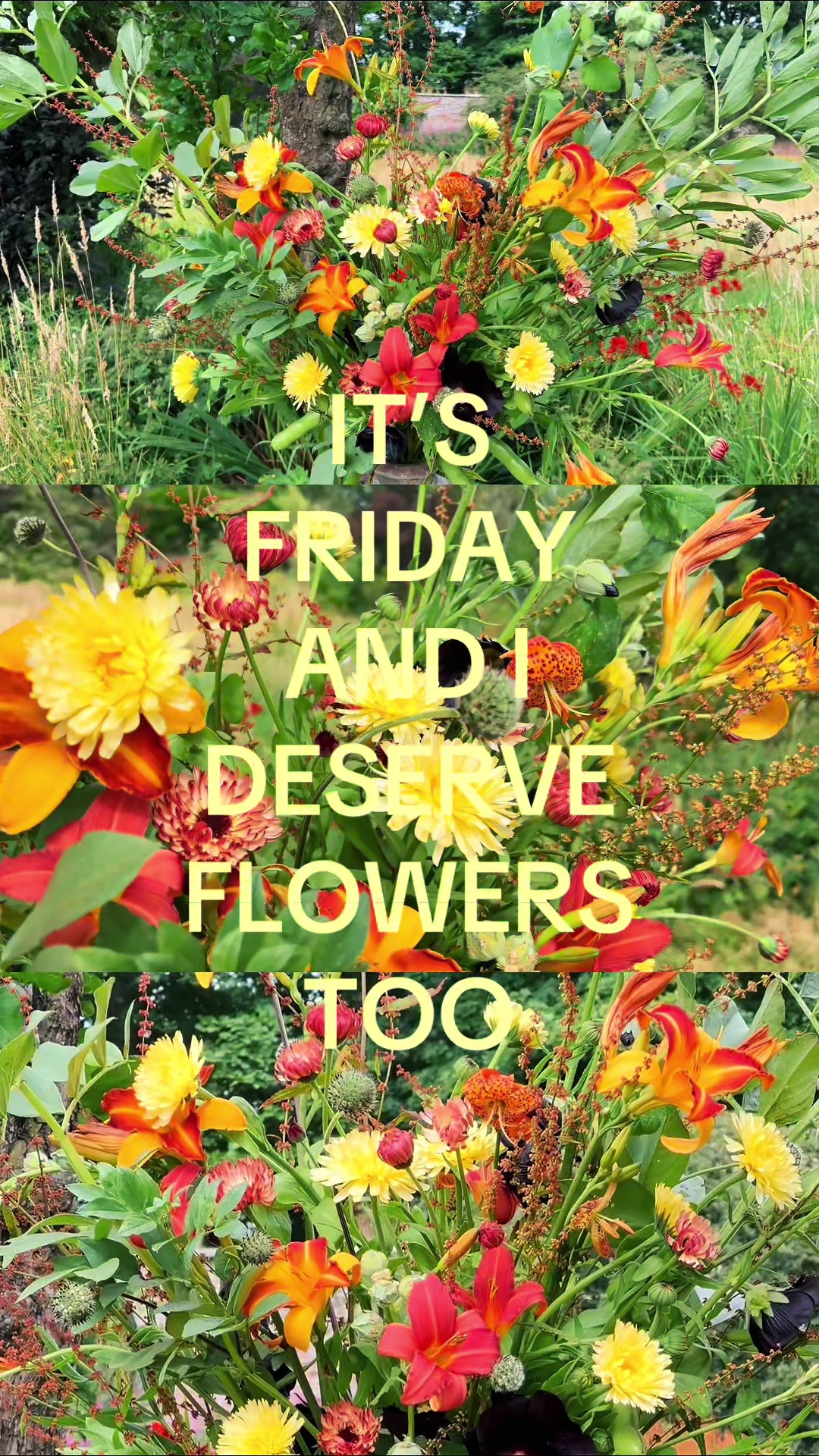 @Roisin 🌷 VerdeFlowerCo