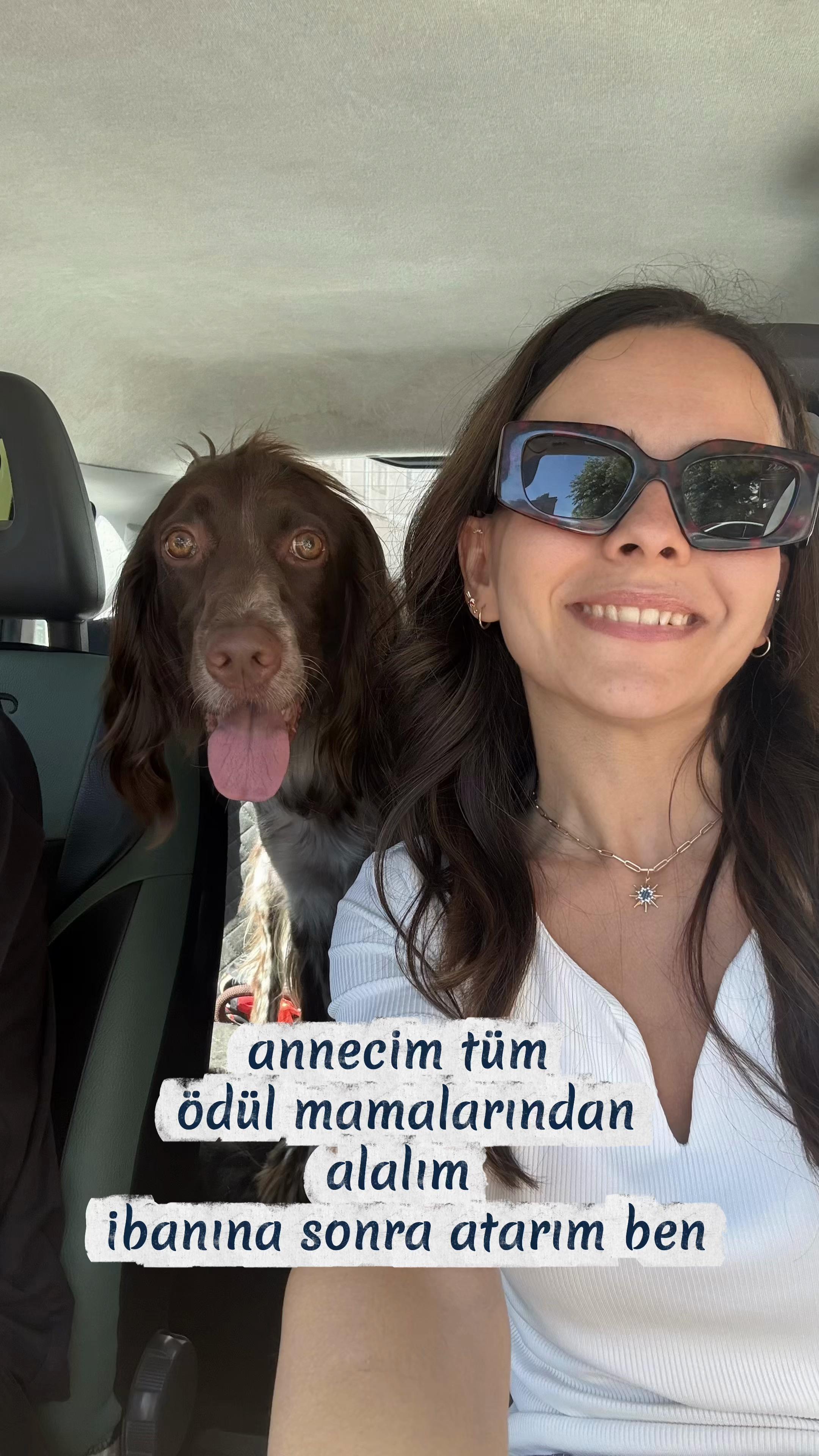 @egevemini
