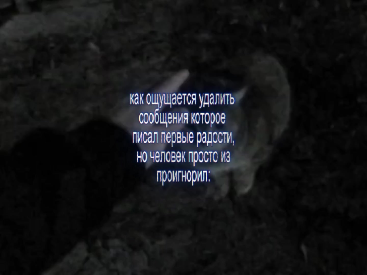 @𝘼𝙍𝙏𝙄𝙎