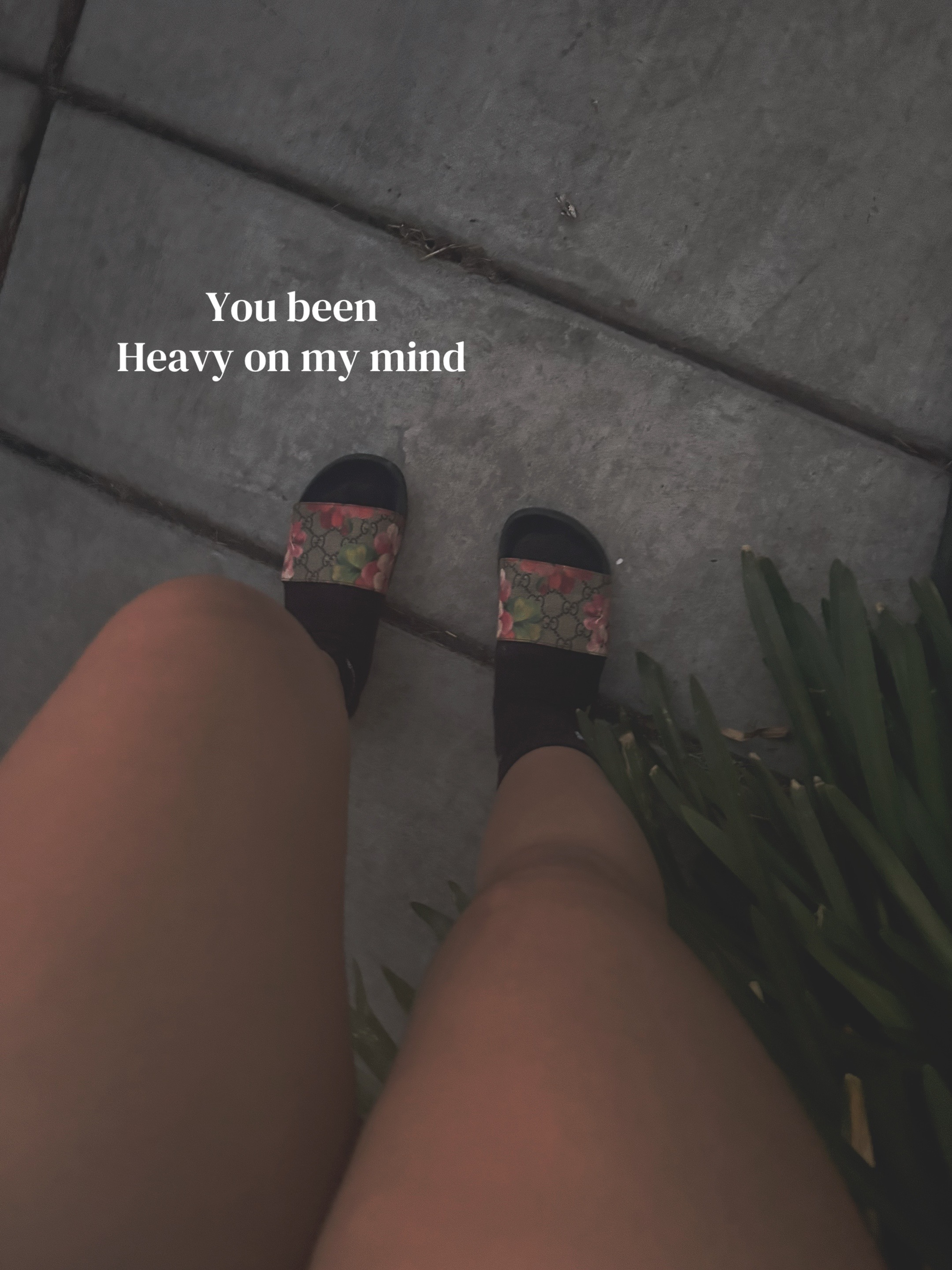 @꧁𝓐𝓵𝓲𝓬𝓲𝓪꧂