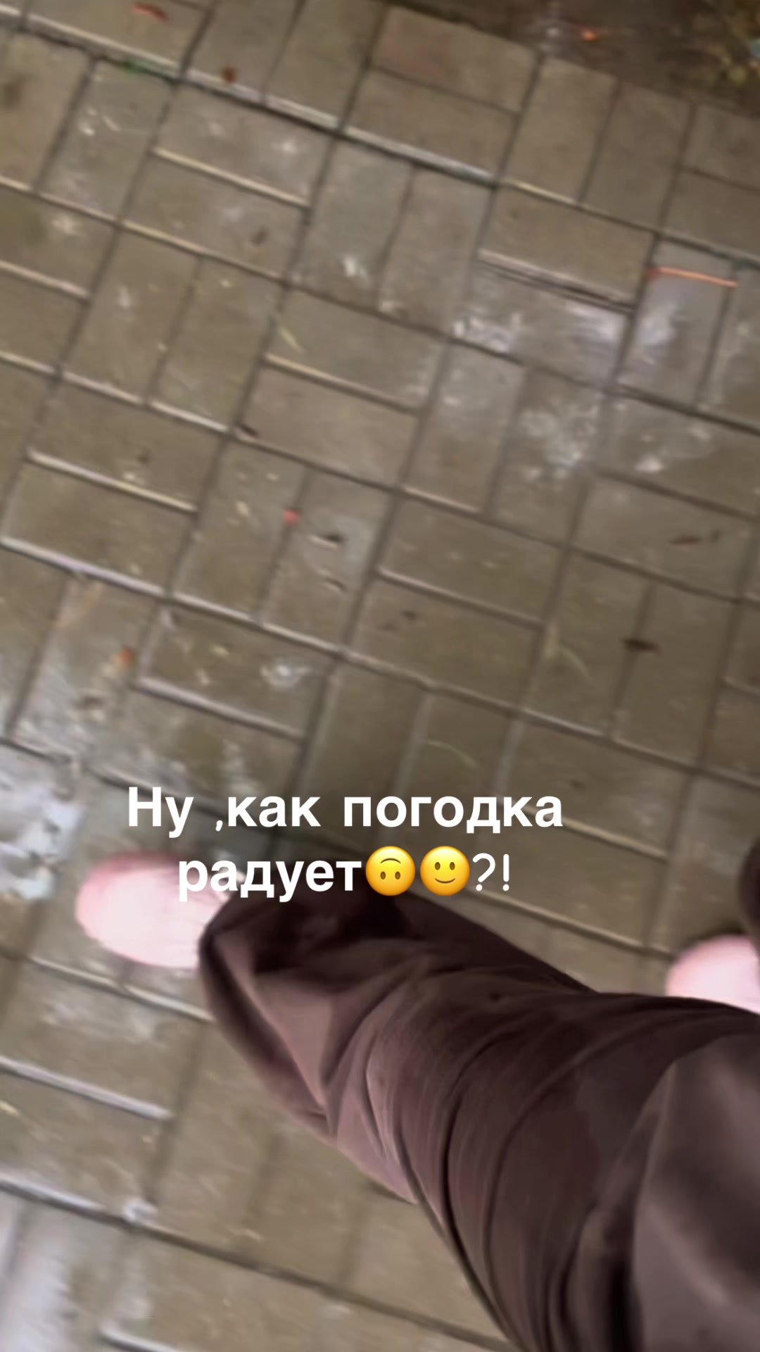 @Elena