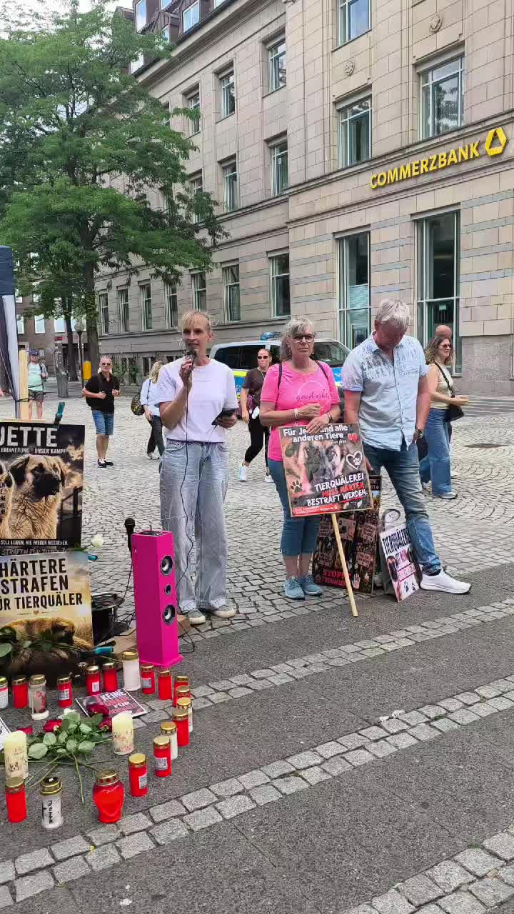 @MoinMoinausdemnorden2023