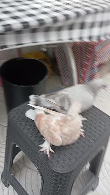 @Kenan &Ouml;zt&uuml;rk