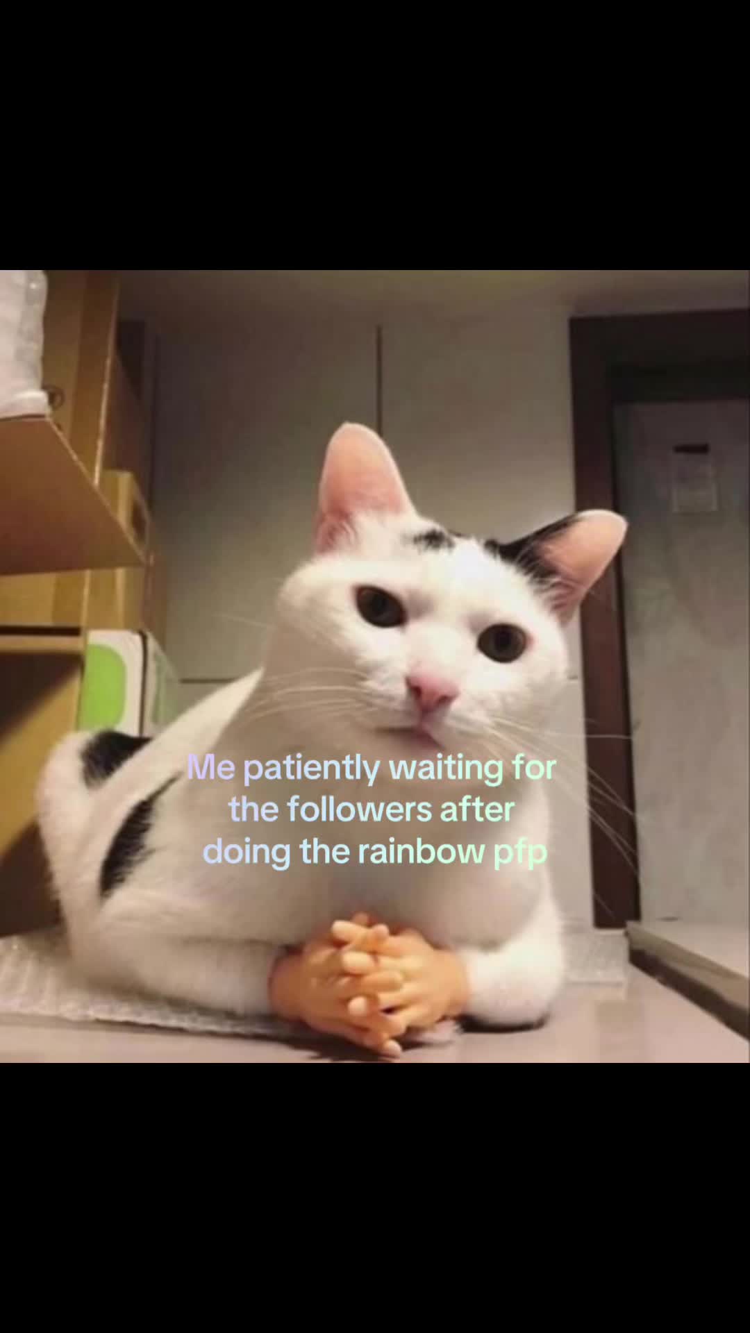 @𝐸𝓂𝒾
