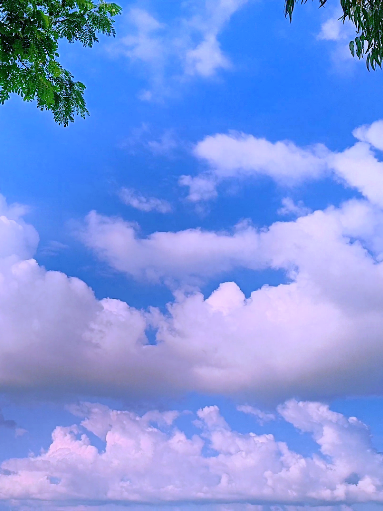 @🪺🦋বাংলার প্রকৃতি 🌾🌹