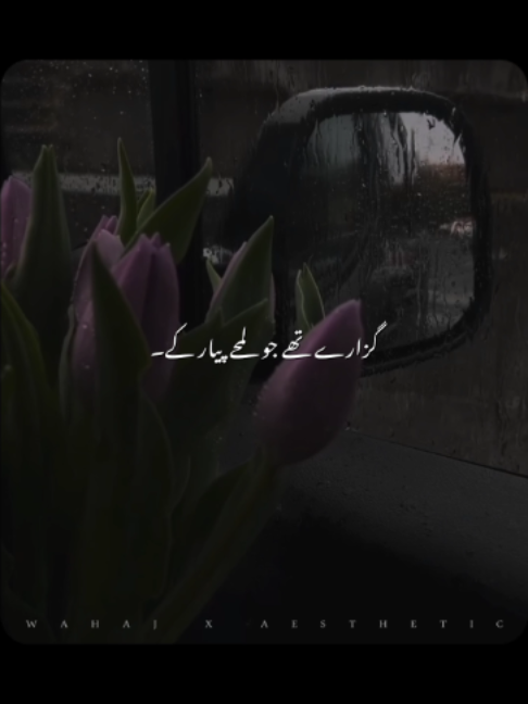 @𝙒 𝘼 𝙃 𝘼 𝙅 🕊️ &bull;