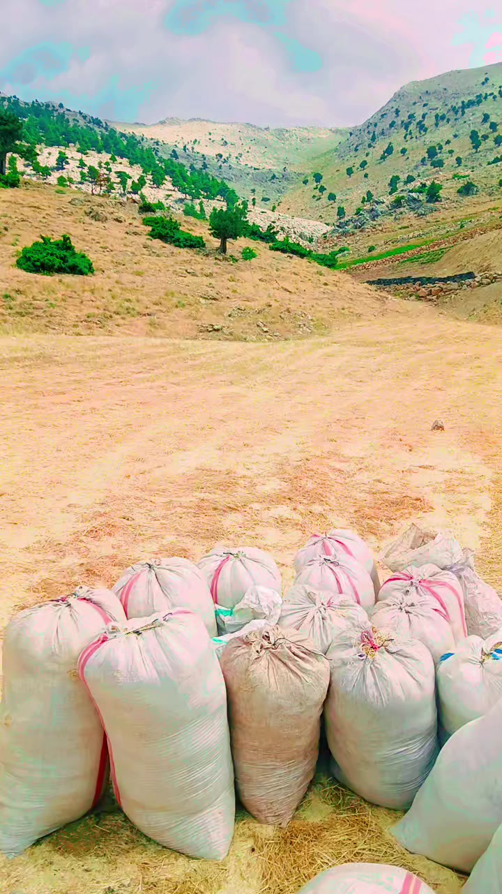@&Uuml;mit g&ouml;kburun