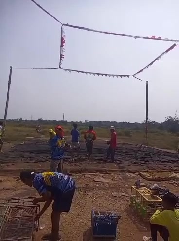 @Berita Merpati