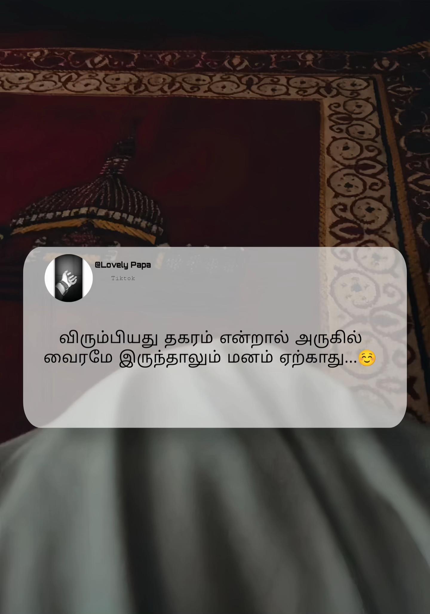 @𝐇𝐚𝐧𝐞𝐞𝐅~𝐦𝐱𝐦𝐝