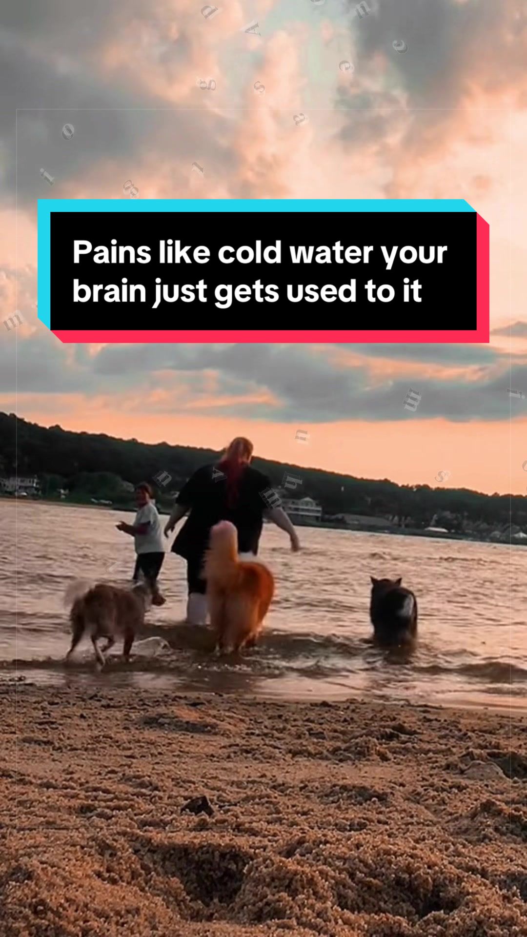 @Dakota & Pups